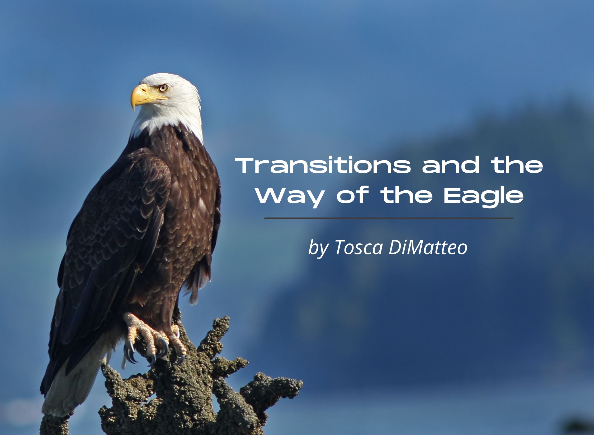 Transitions and the Way of the Eagle